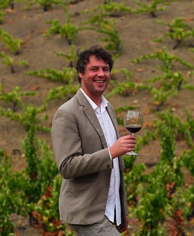 StefanVineyardLoGivot